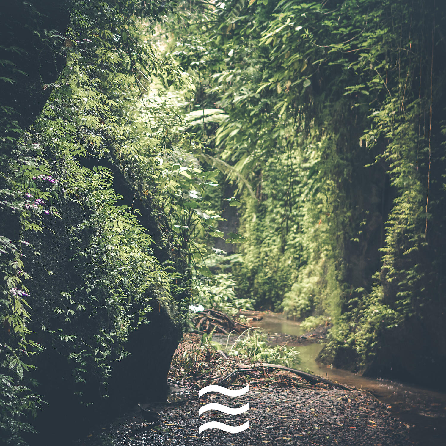 Nature Simple Sounds for Home Office - Still Noises of Nature for Home Office