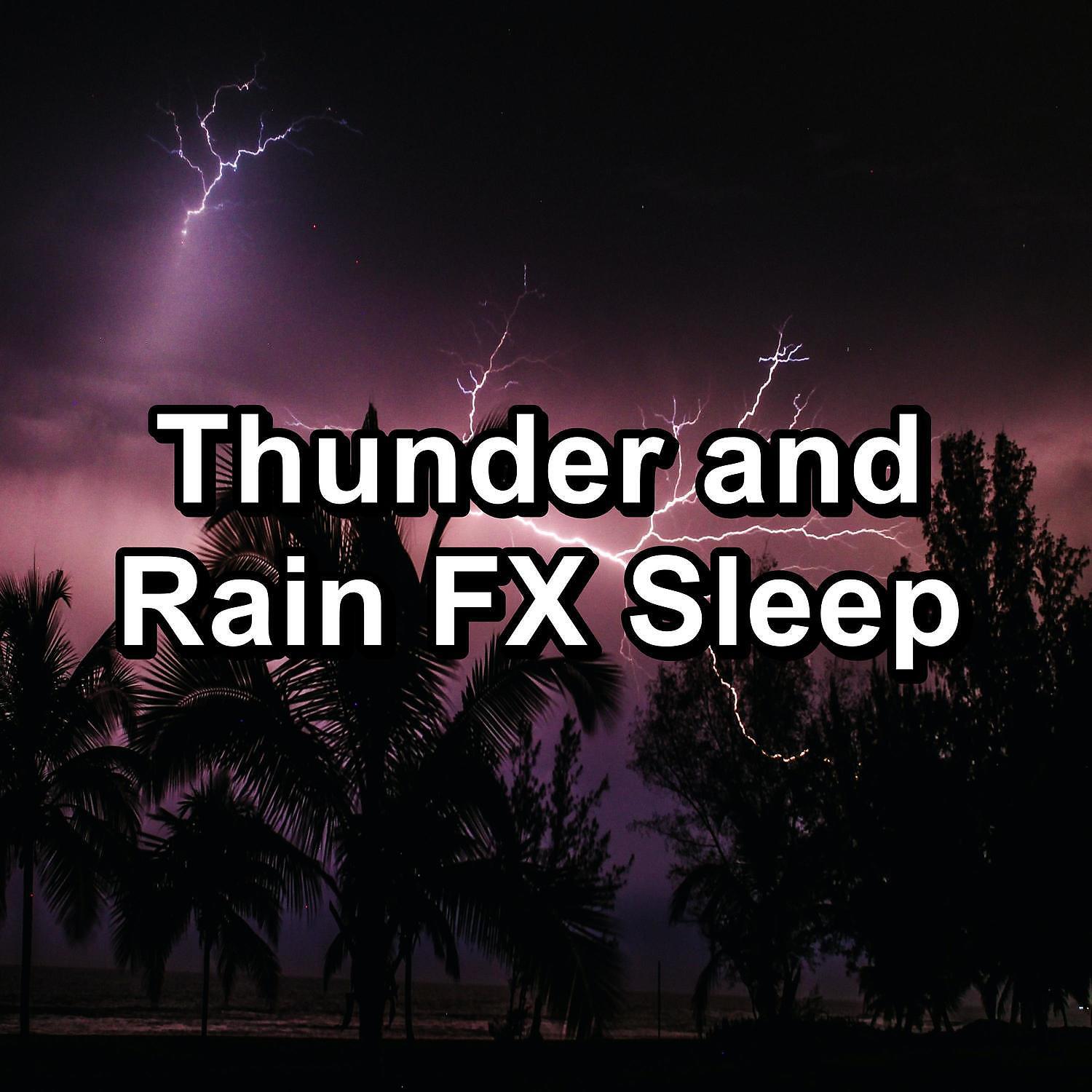 ASMR - Rain Sounds on a Tin Roof To Relax and Loop for 8 Hours