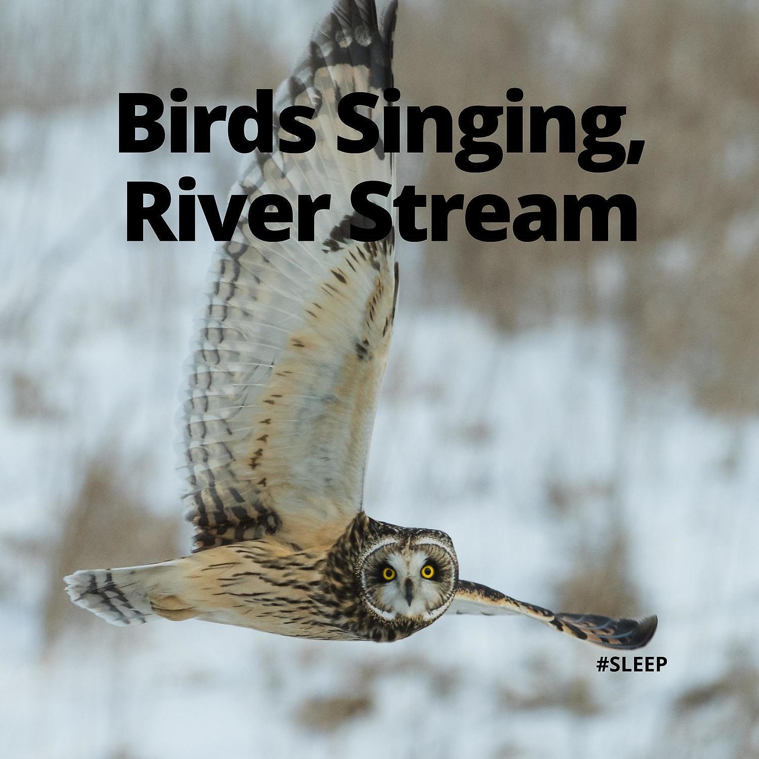 #Sleep - Birds Singing, River Stream