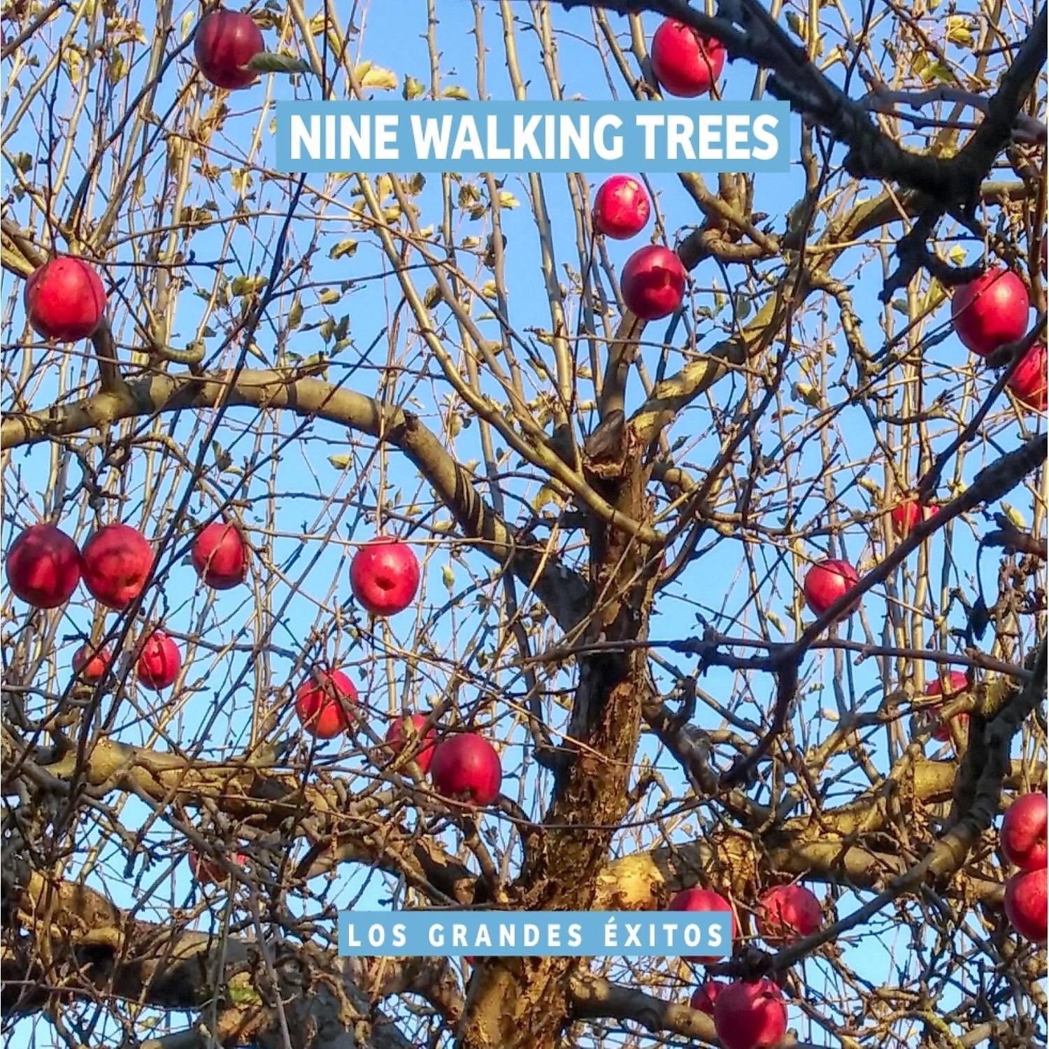 Nine Walking Trees - Freedom of Vimana