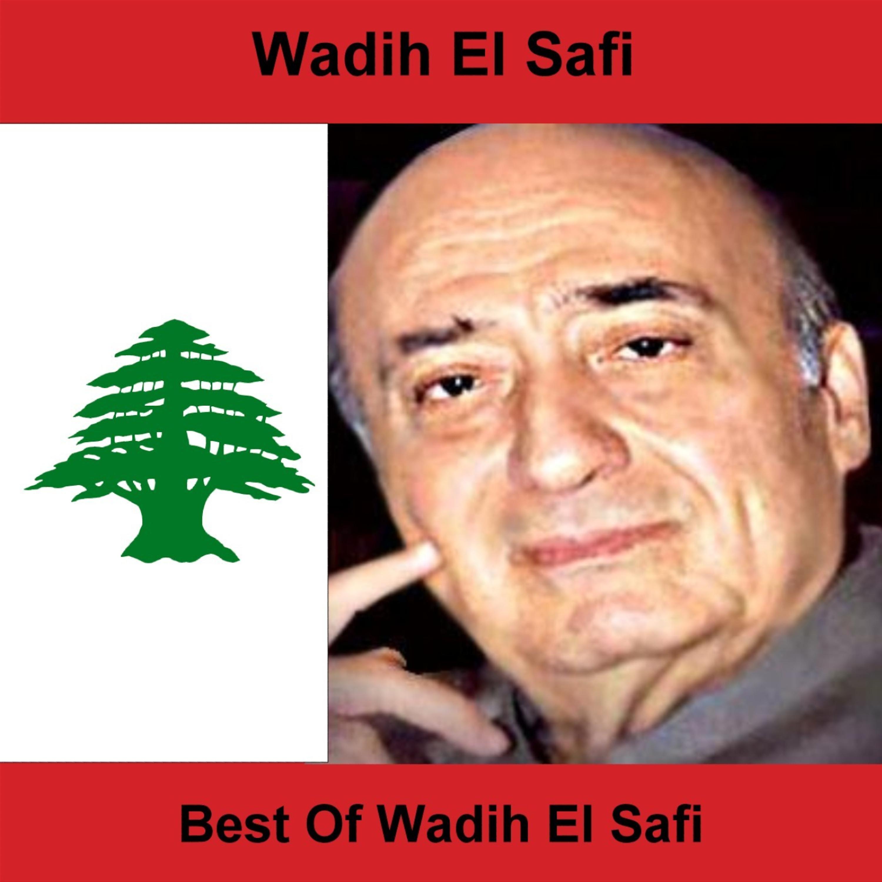 Постер альбома Best Of Wadih El Safi