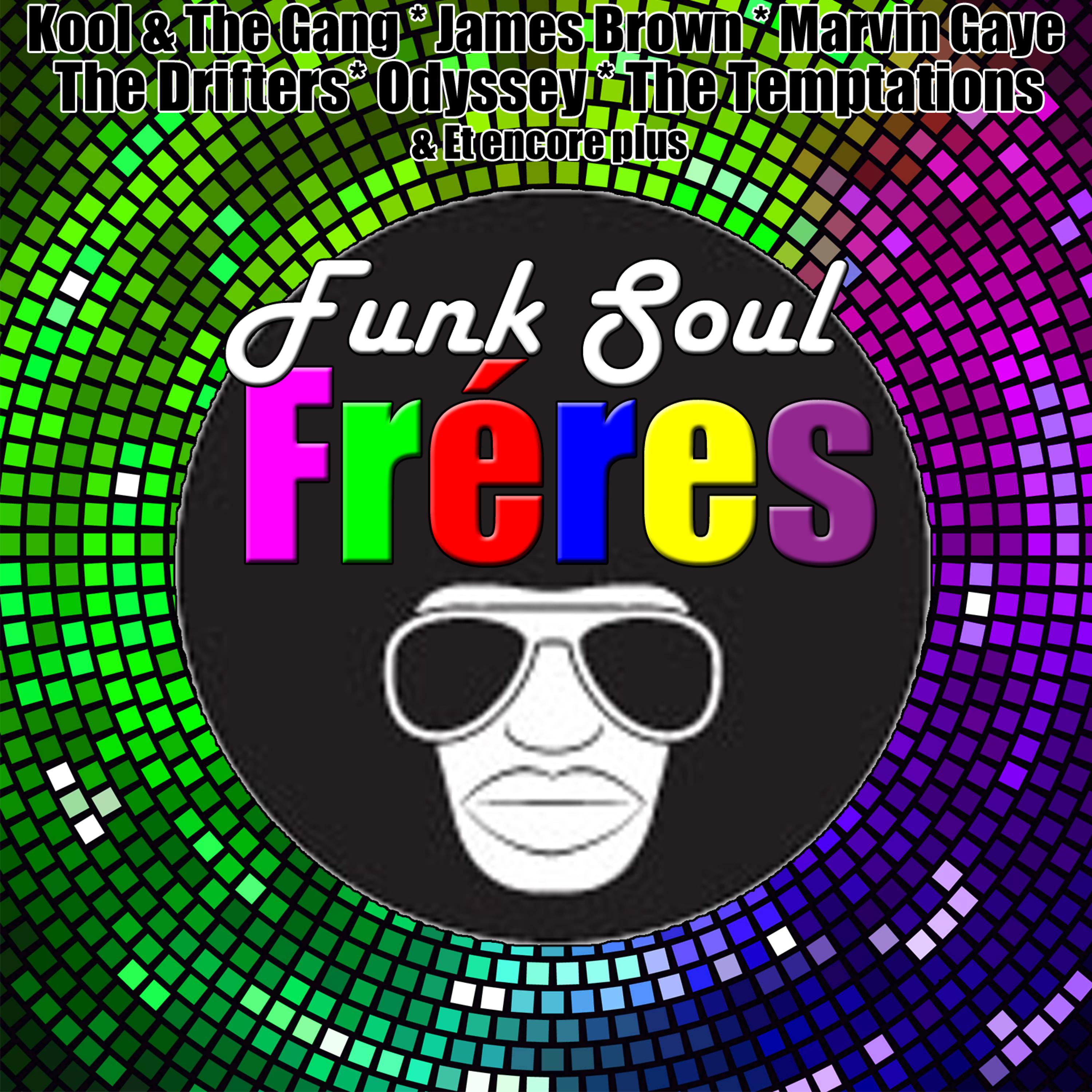 Постер альбома Funk Soul Frères
