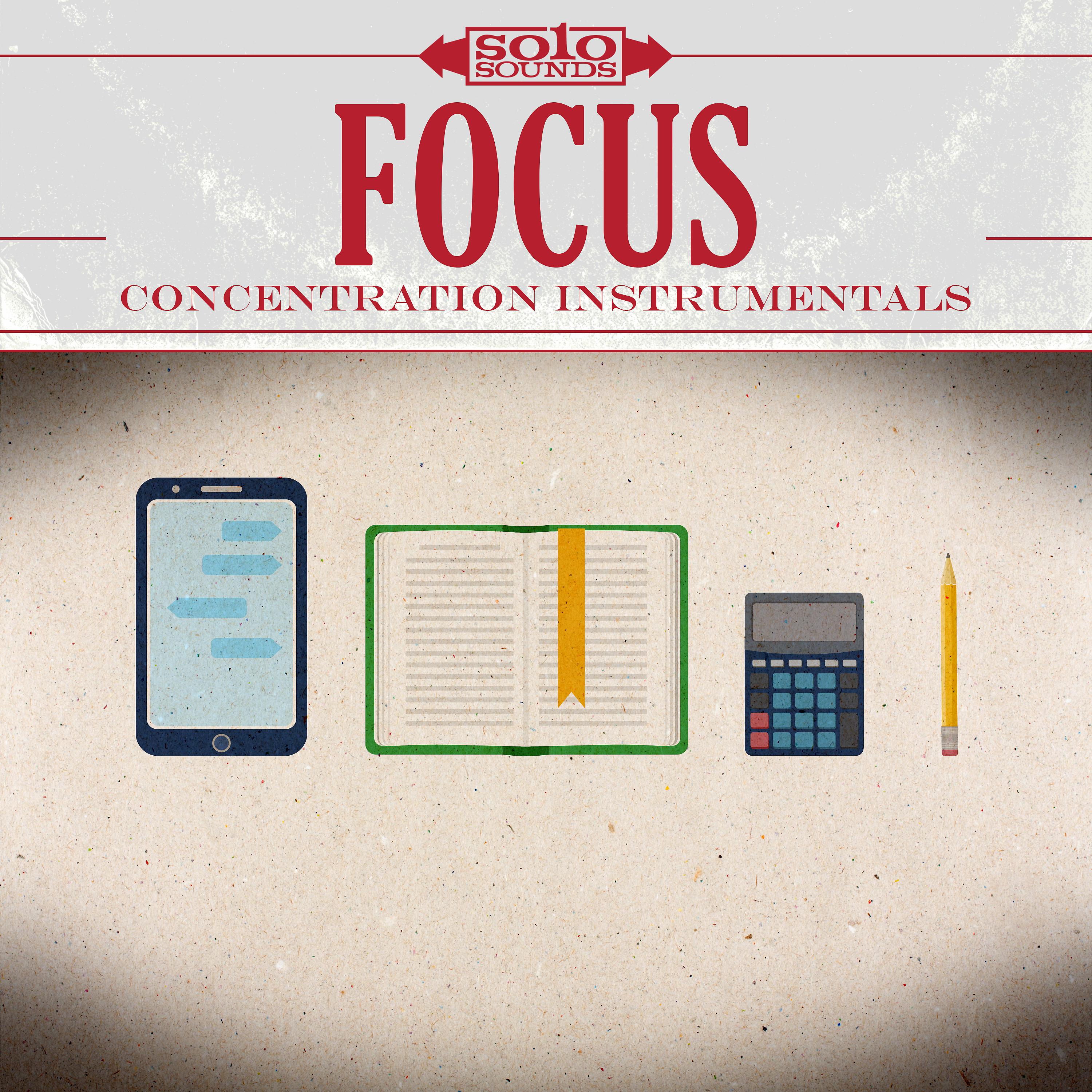 Постер альбома Focus: Concentration Instrumentals