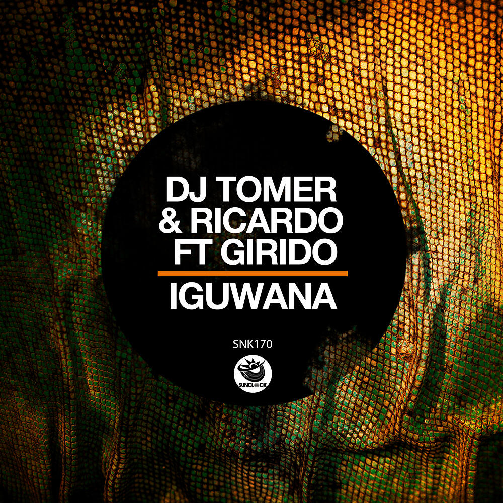 DJ Tomer - Iguwana (Original Mix)