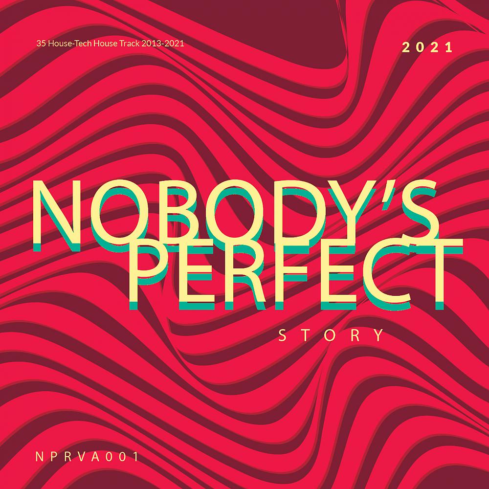 Постер альбома Nobody's Perfect Story