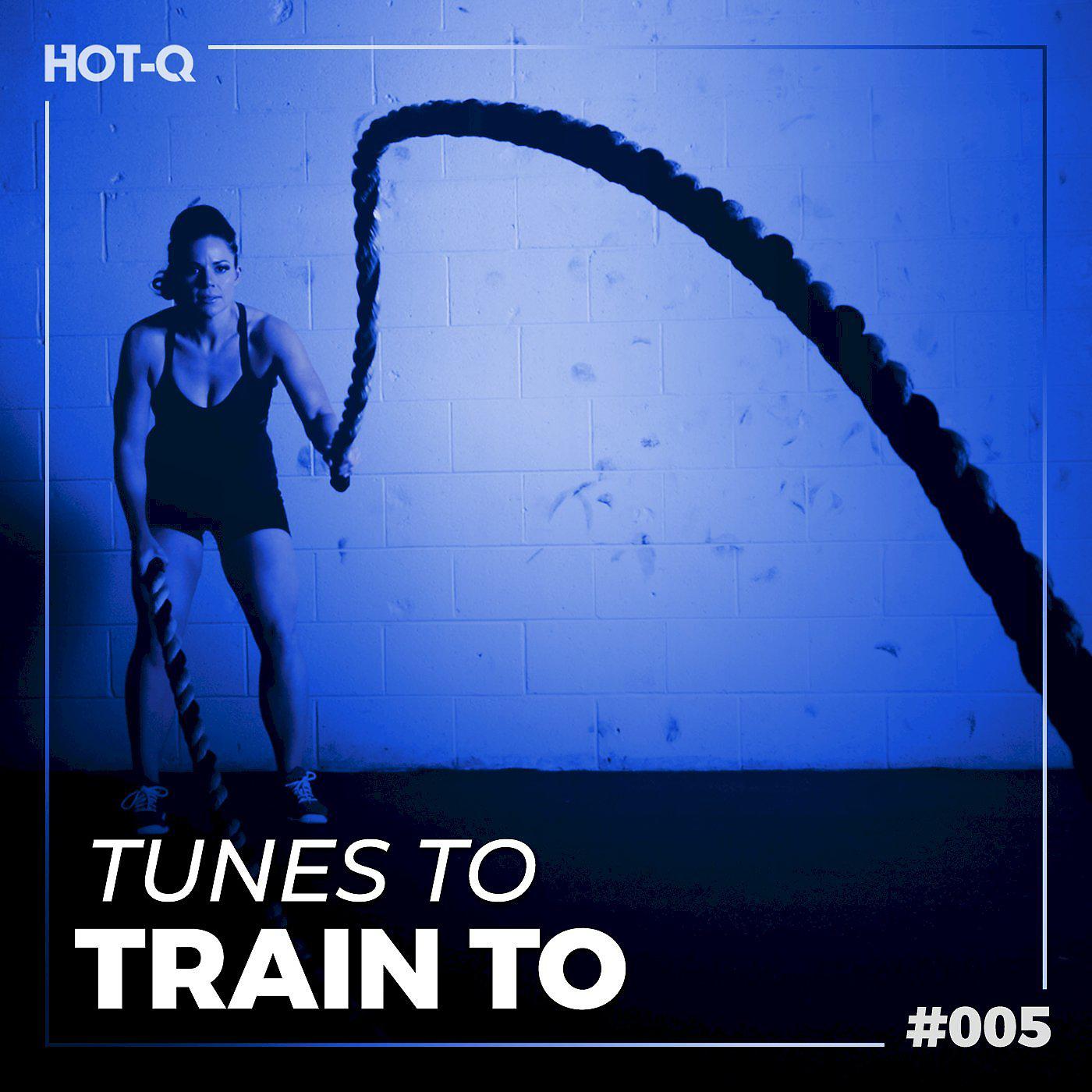 Постер альбома Tunes To Train To 005