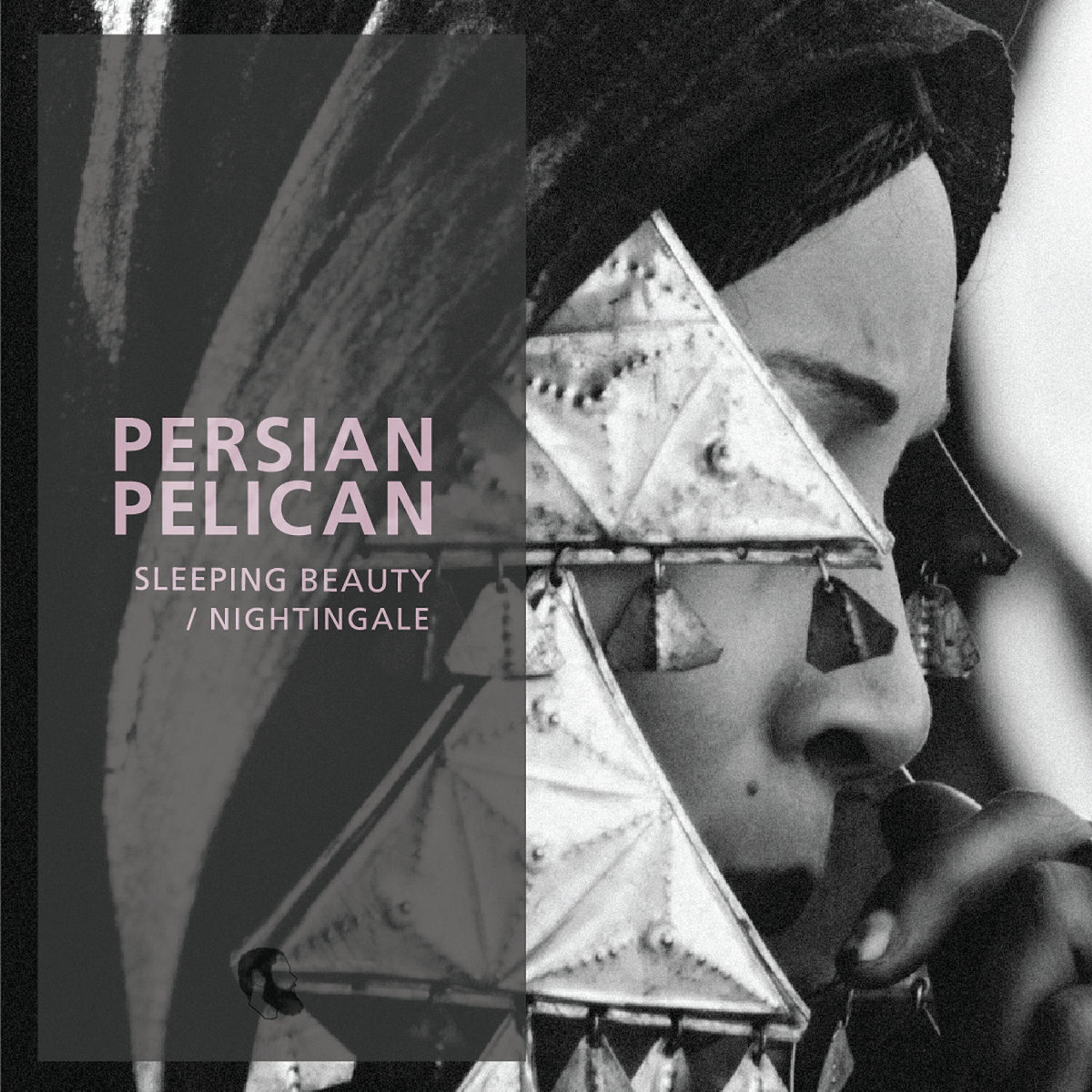Persian Pelican - Nightingale