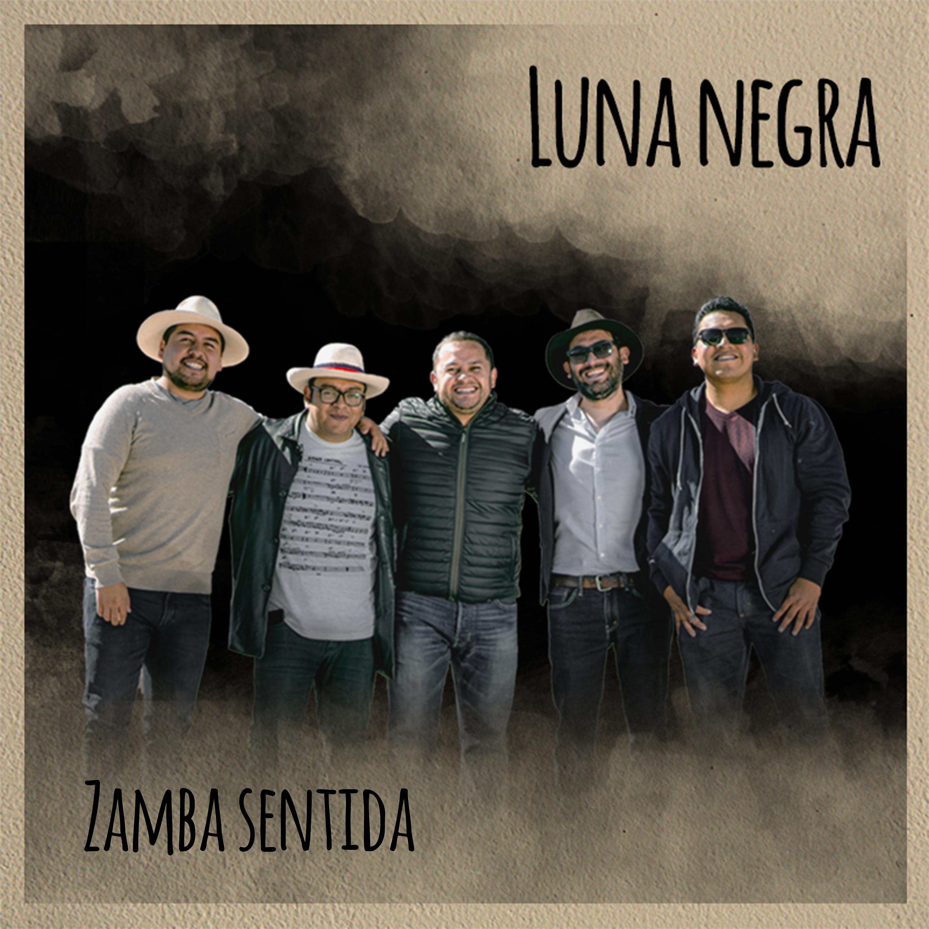 Постер альбома Zamba Sentida