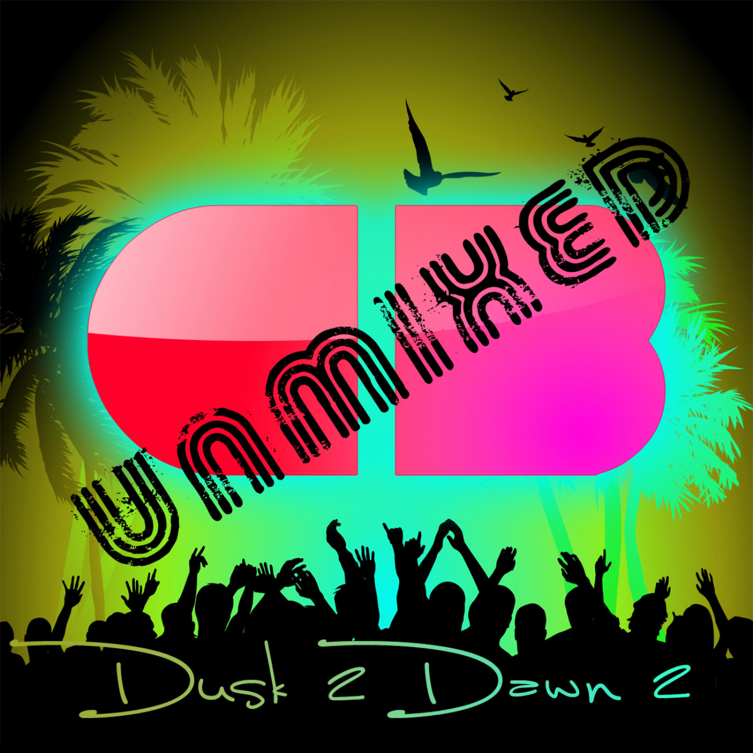 Постер альбома Dusk 2 Dawn 2 (Unmixed)