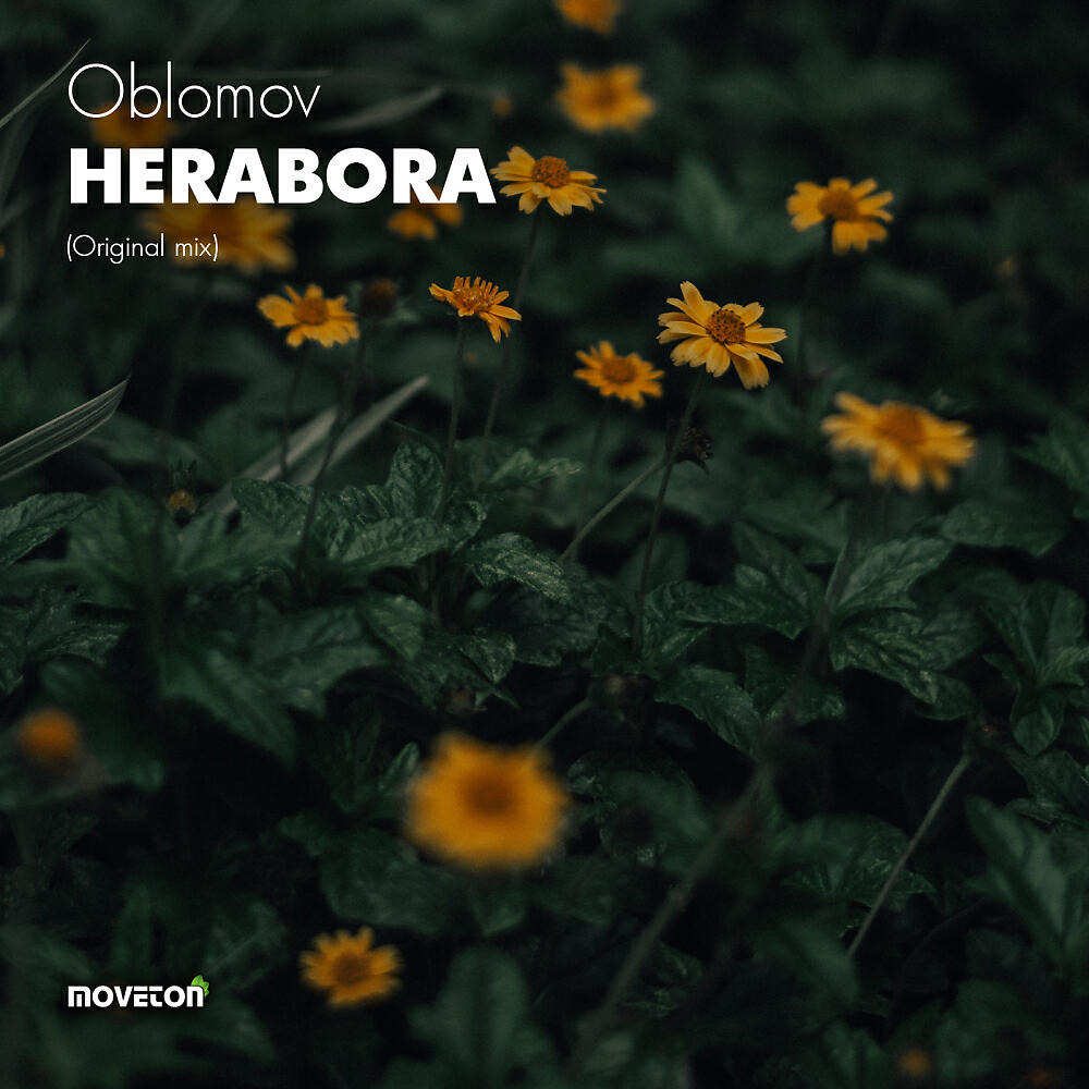 Oblomov - Herabora (Original Mix)