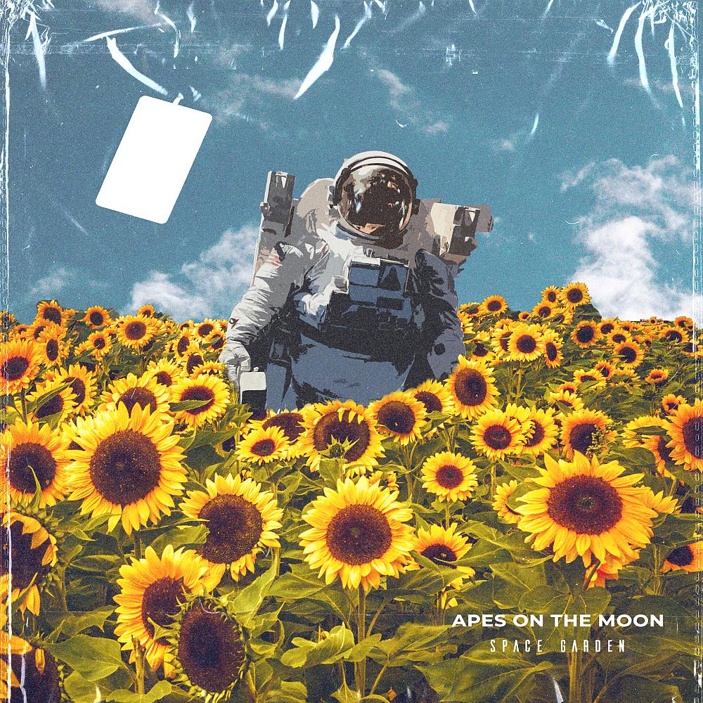 Постер альбома Space Garden