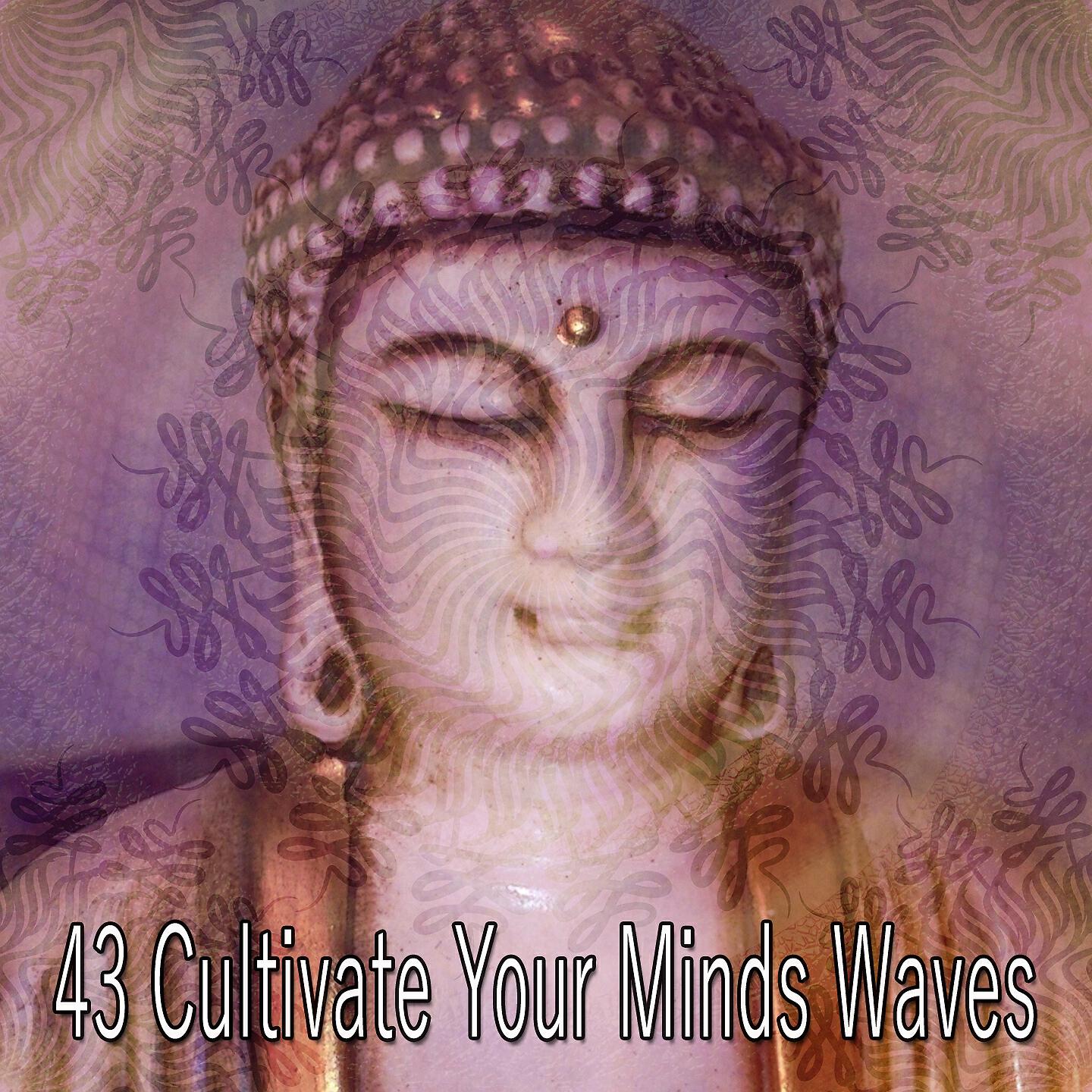 Asian Zen Spa Music Meditation - Healing Dream