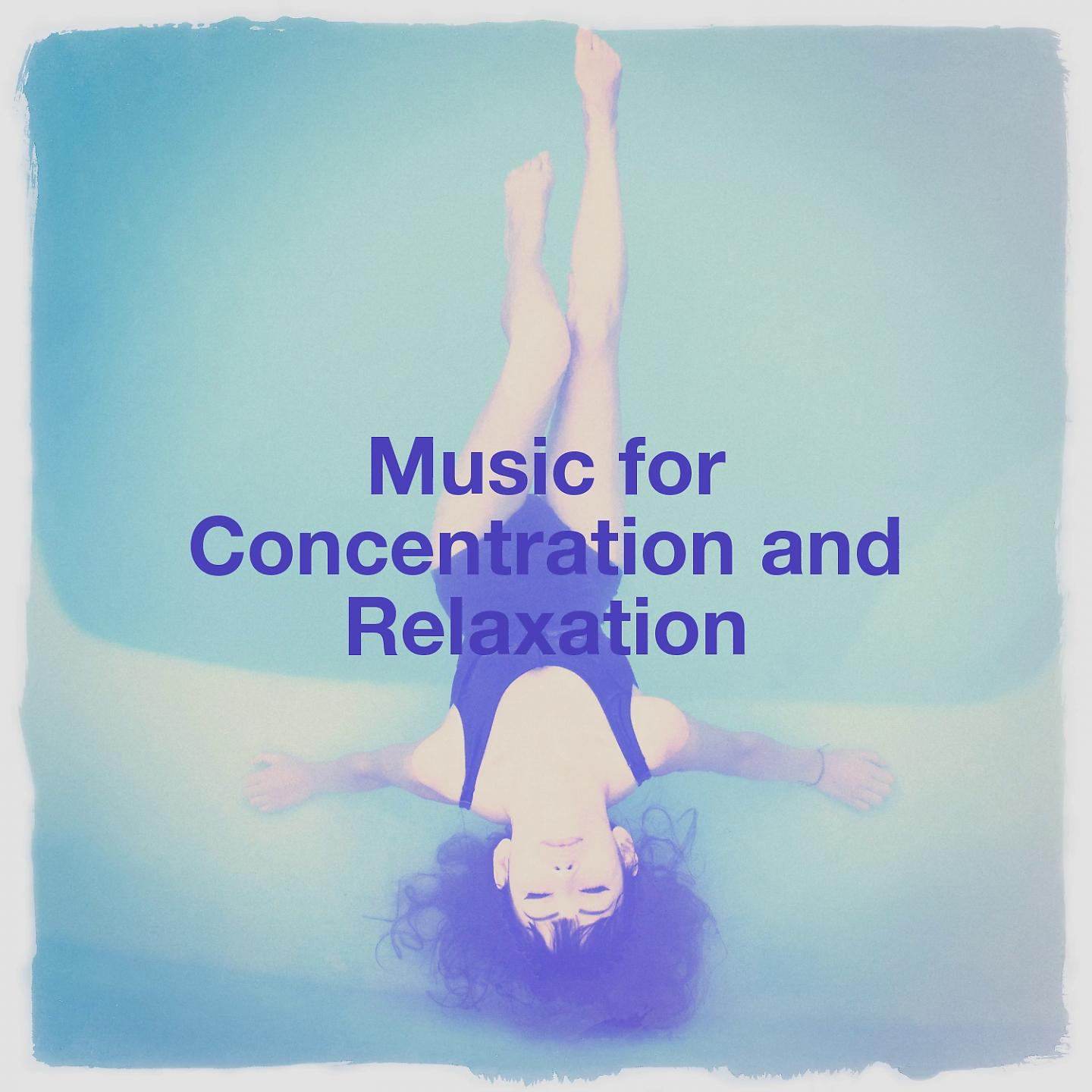 Постер альбома Music for Concentration and Relaxation