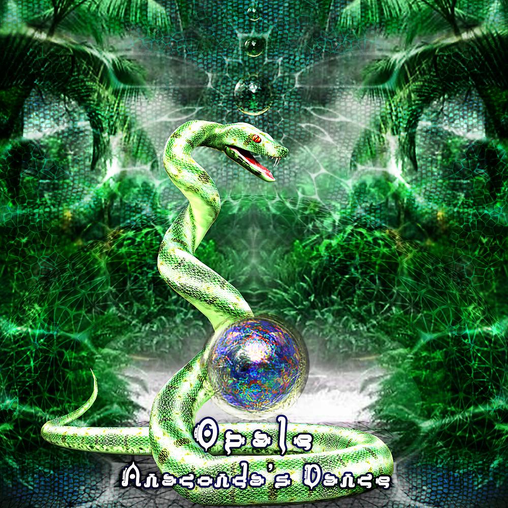 Постер альбома Anaconda's Dance