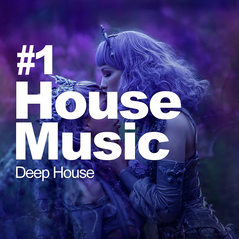 Постер альбома #1 House Music