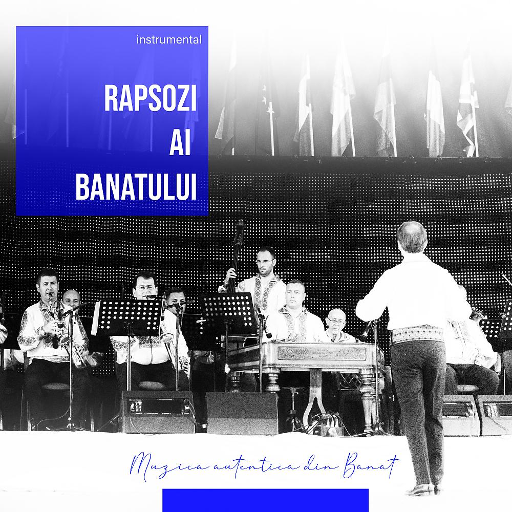 Постер альбома Muzica Autentica din Banat