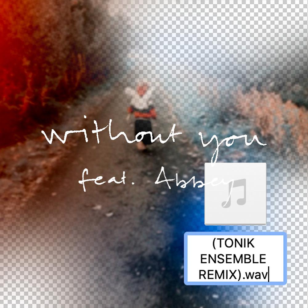Постер альбома Without You (Tonik Ensemble Remix)