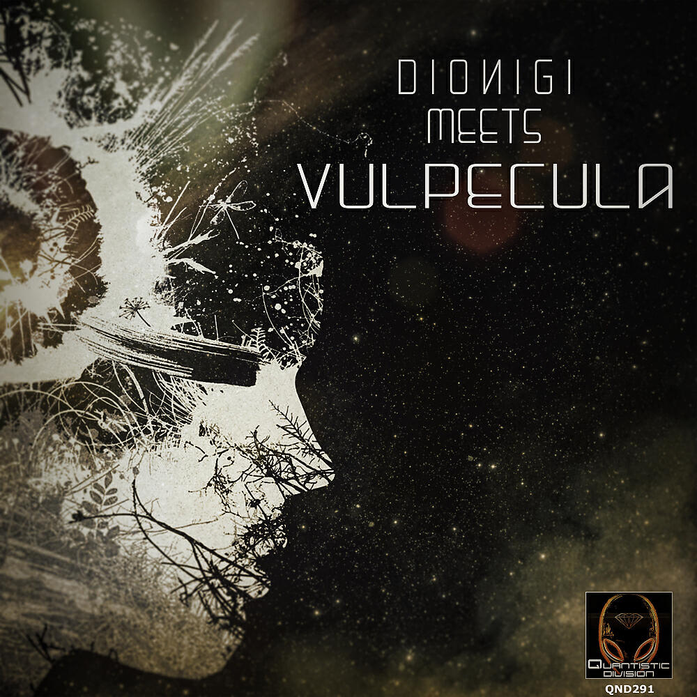 Dionigi - Frusta (Original Mix)