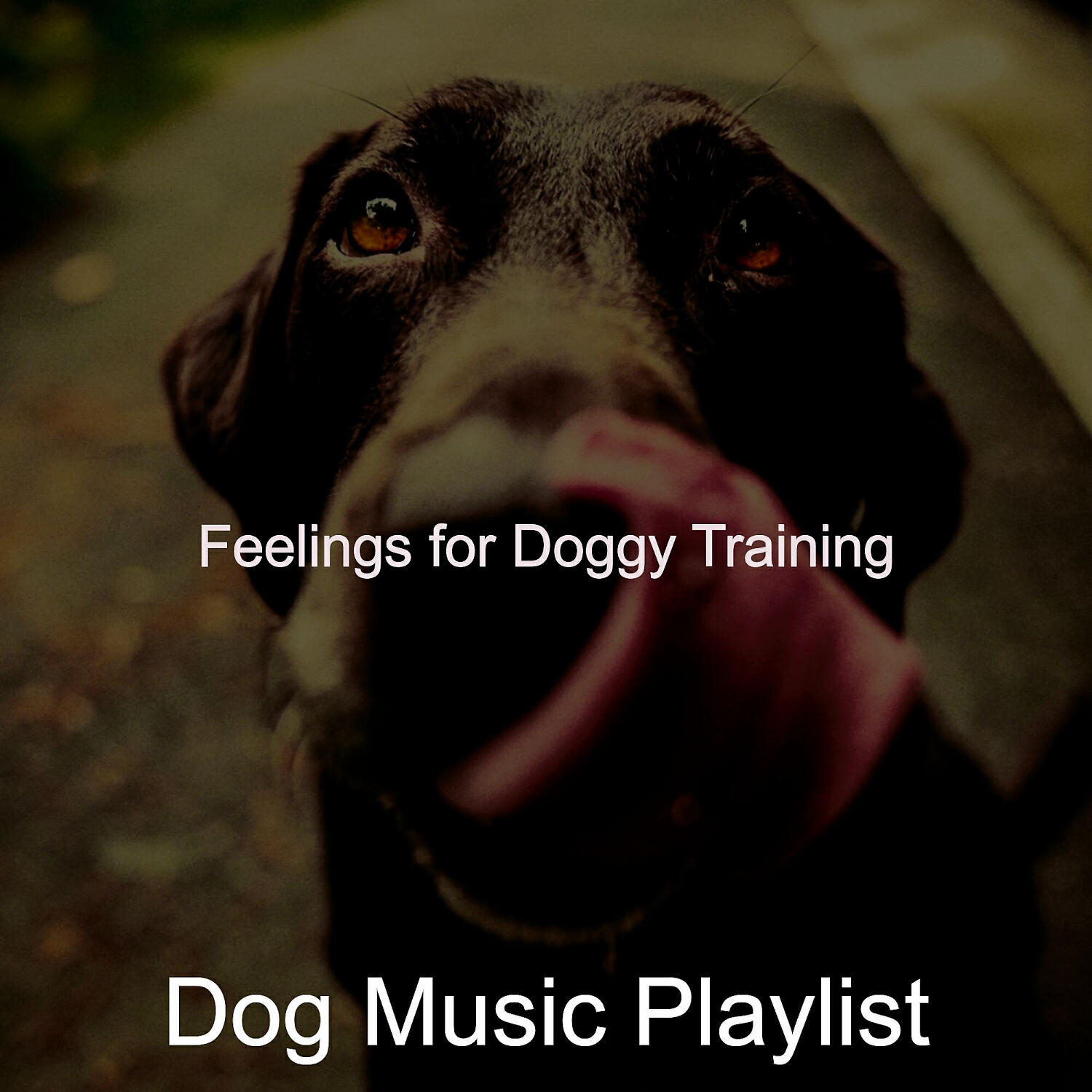 Dog Music Playlist - Cheerful Solo Piano Jazz - Vibe for Cute Dogs