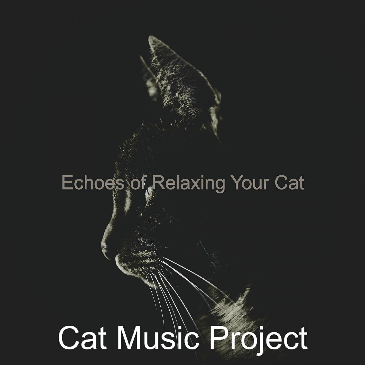 Cat Music Project - Piano Jazz Soundtrack for Relaxing Your Cat