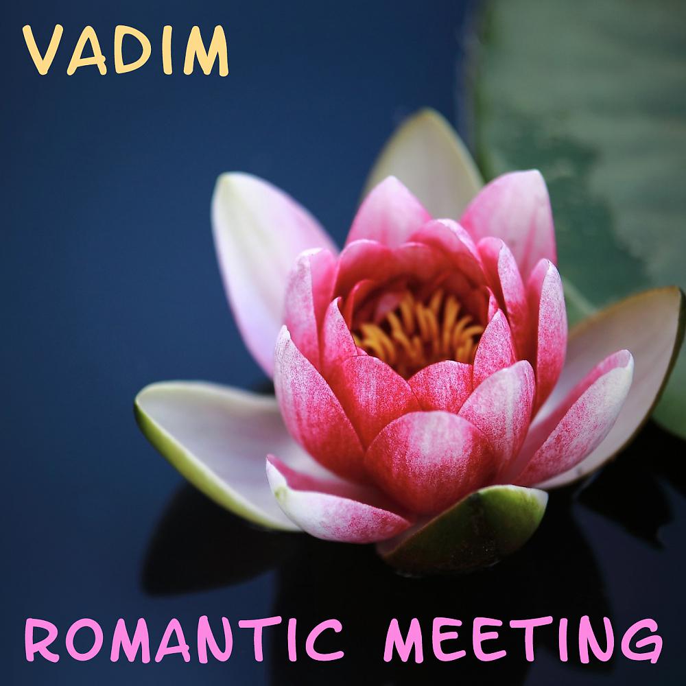Постер альбома Romantic Meeting