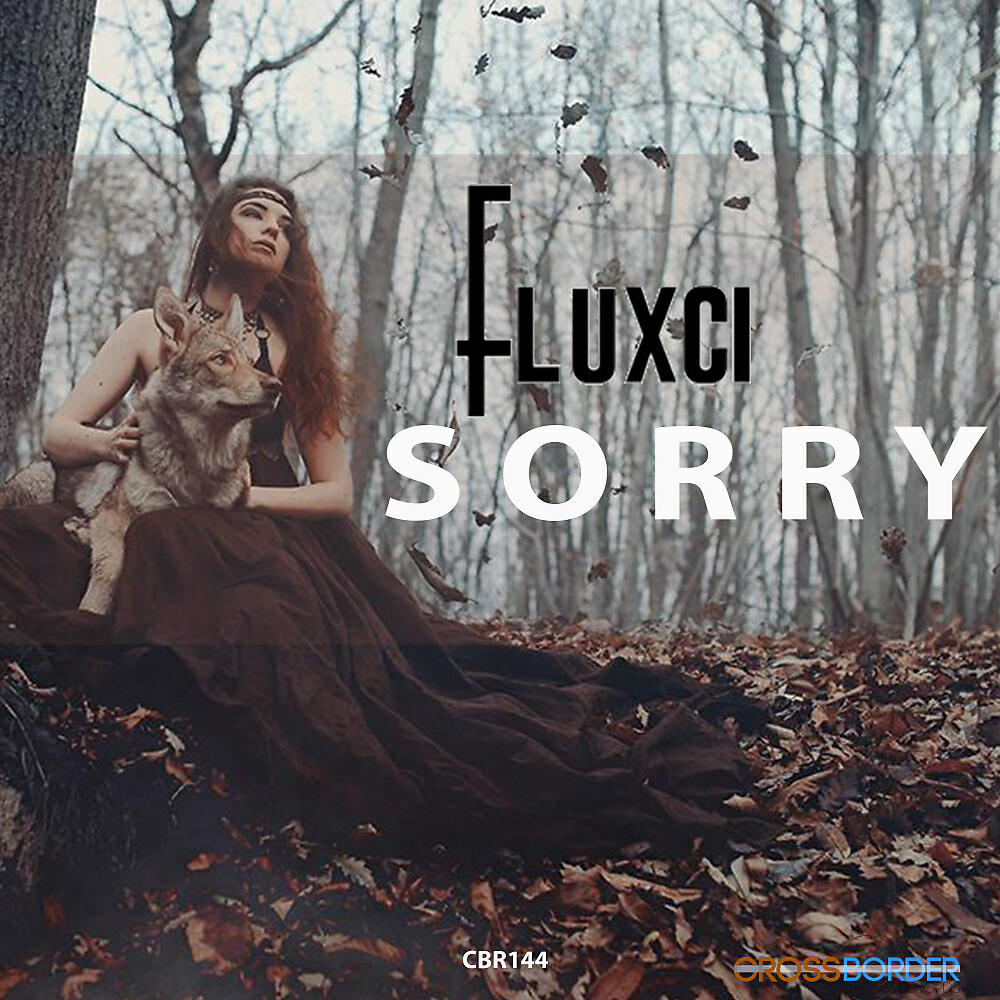Fluxci - S O R R Y (Original Mix)
