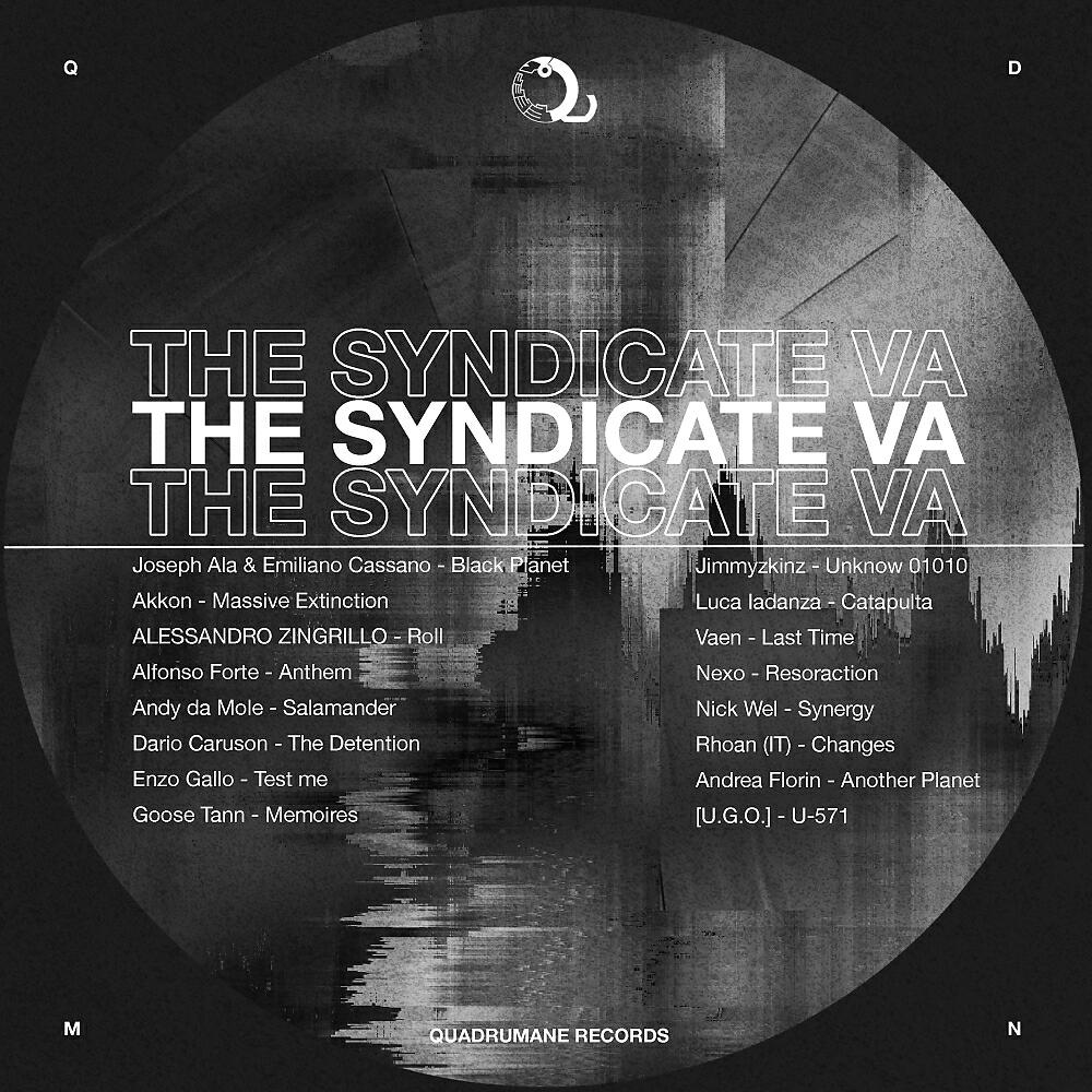 NIK WEL - Synergy