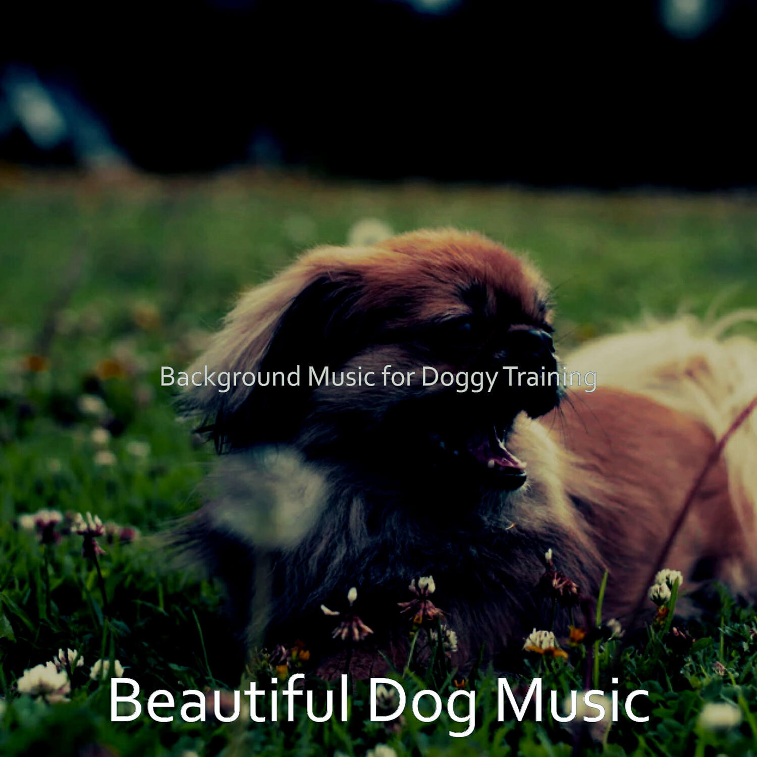 Beautiful Dog Music - Urbane Solo Piano Jazz - Vibe for Cute Dogs