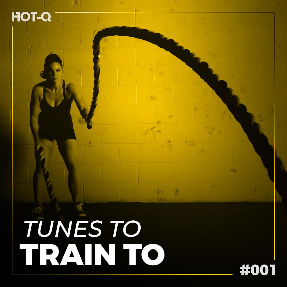 Постер альбома Tunes To Train To 001