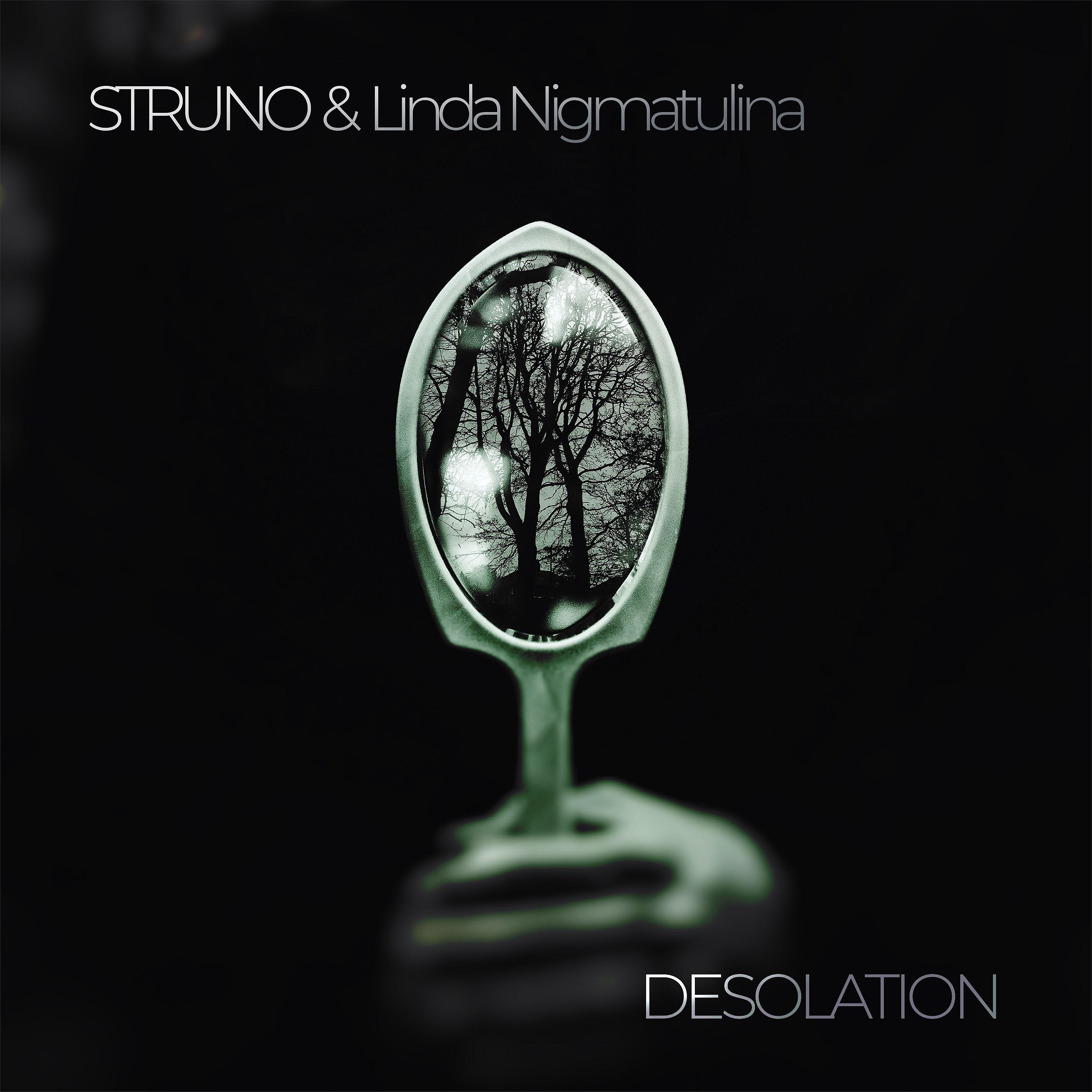Постер альбома Desolation (feat. Linda Nigmatulina)