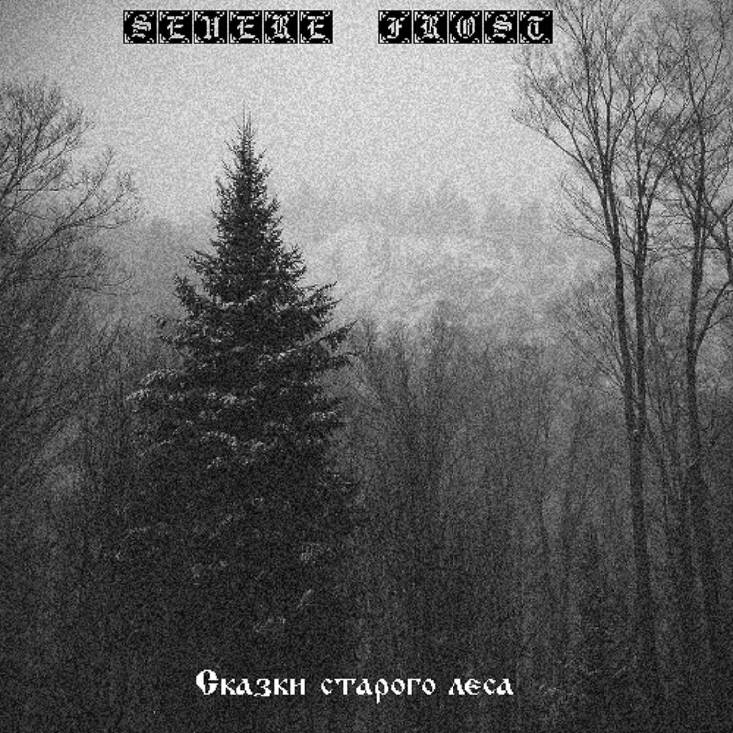 Severe Frost - Пень-воевода