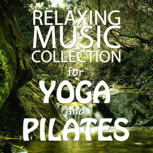 Постер альбома Relaxing Music Collection for Yoga and Pilates