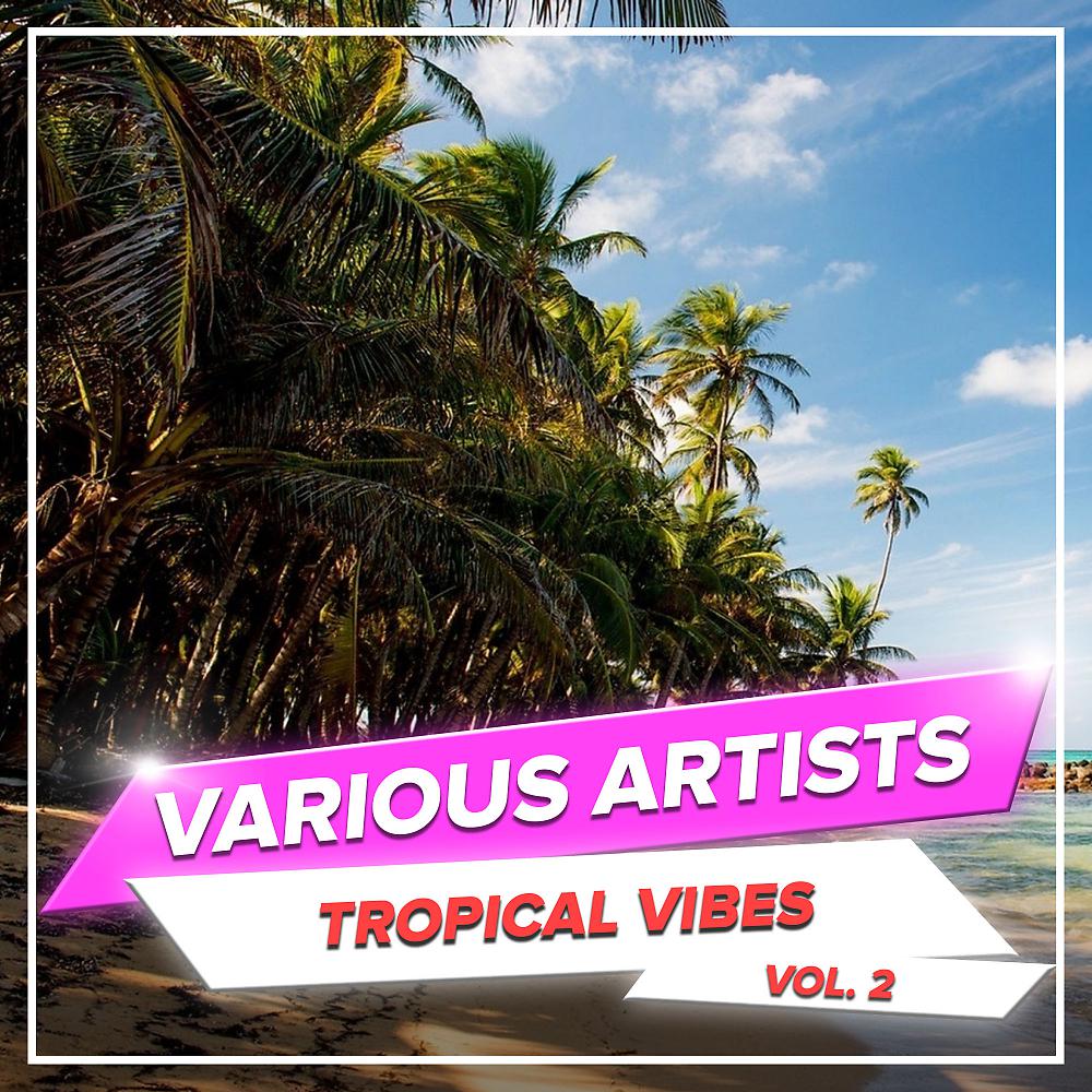 Постер альбома Tropical Vibes, Vol. 2