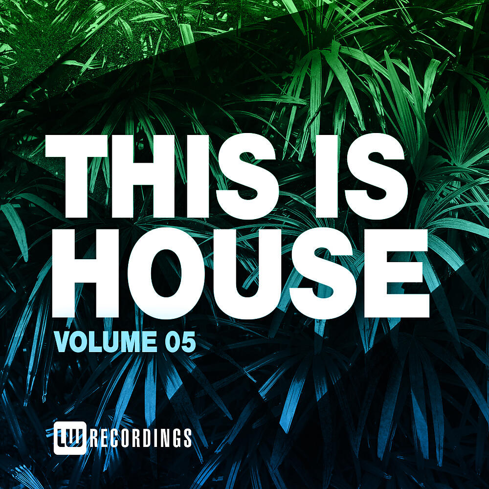 Vincent Caira - The Groove (Sebb Junior Remix)