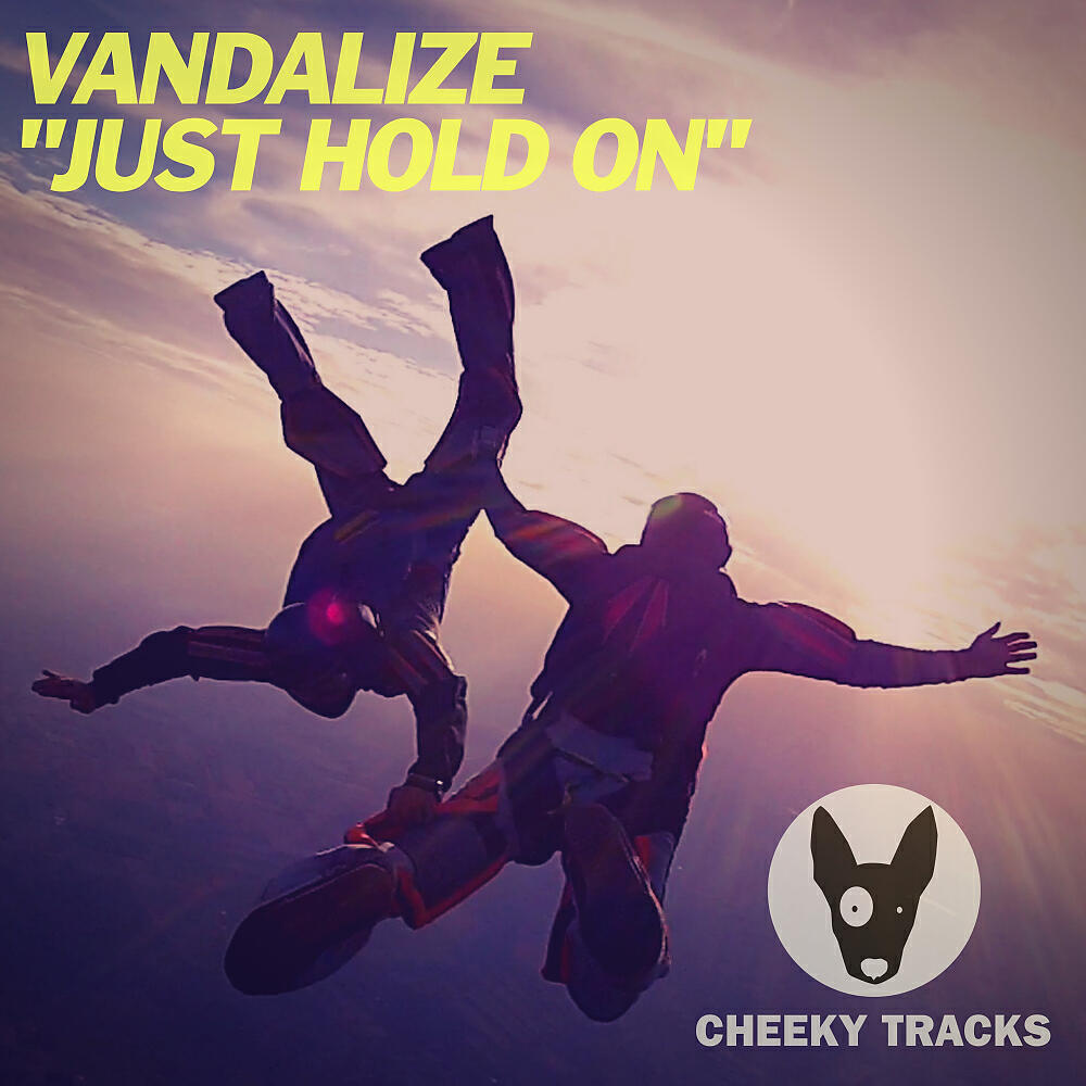 Vandalize - Just Hold On (Radio Edit)