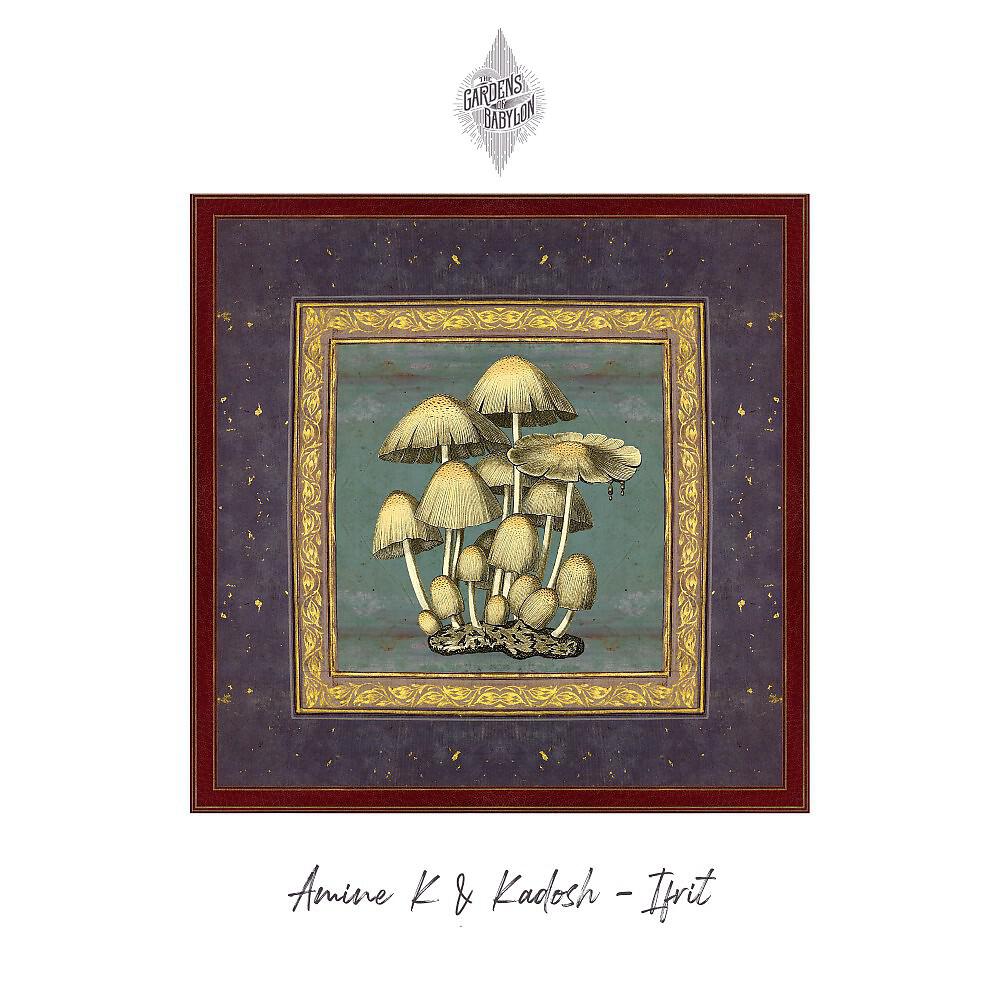 Kadosh (IL) - Prometheus
