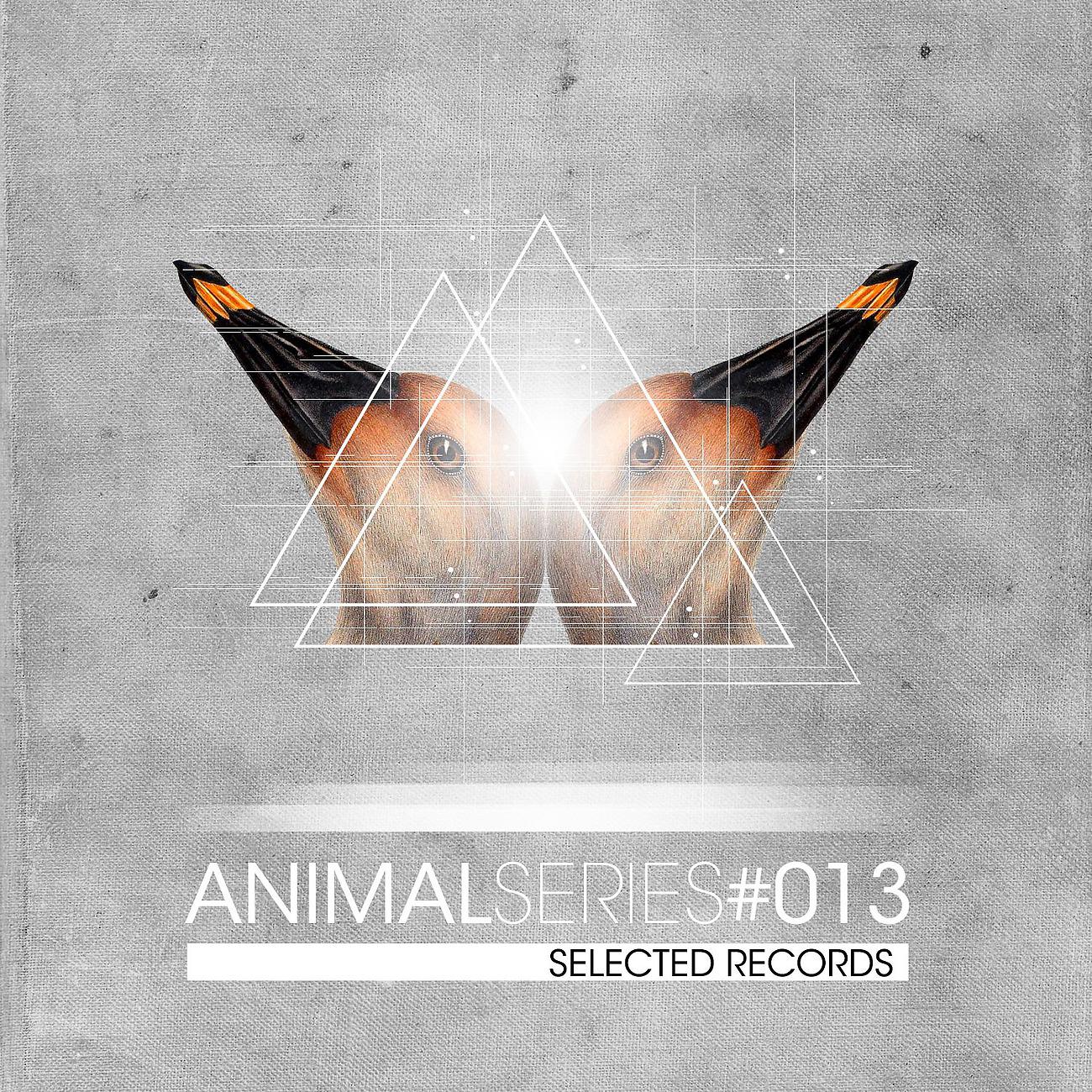 Постер альбома Animal Series Vol. 13