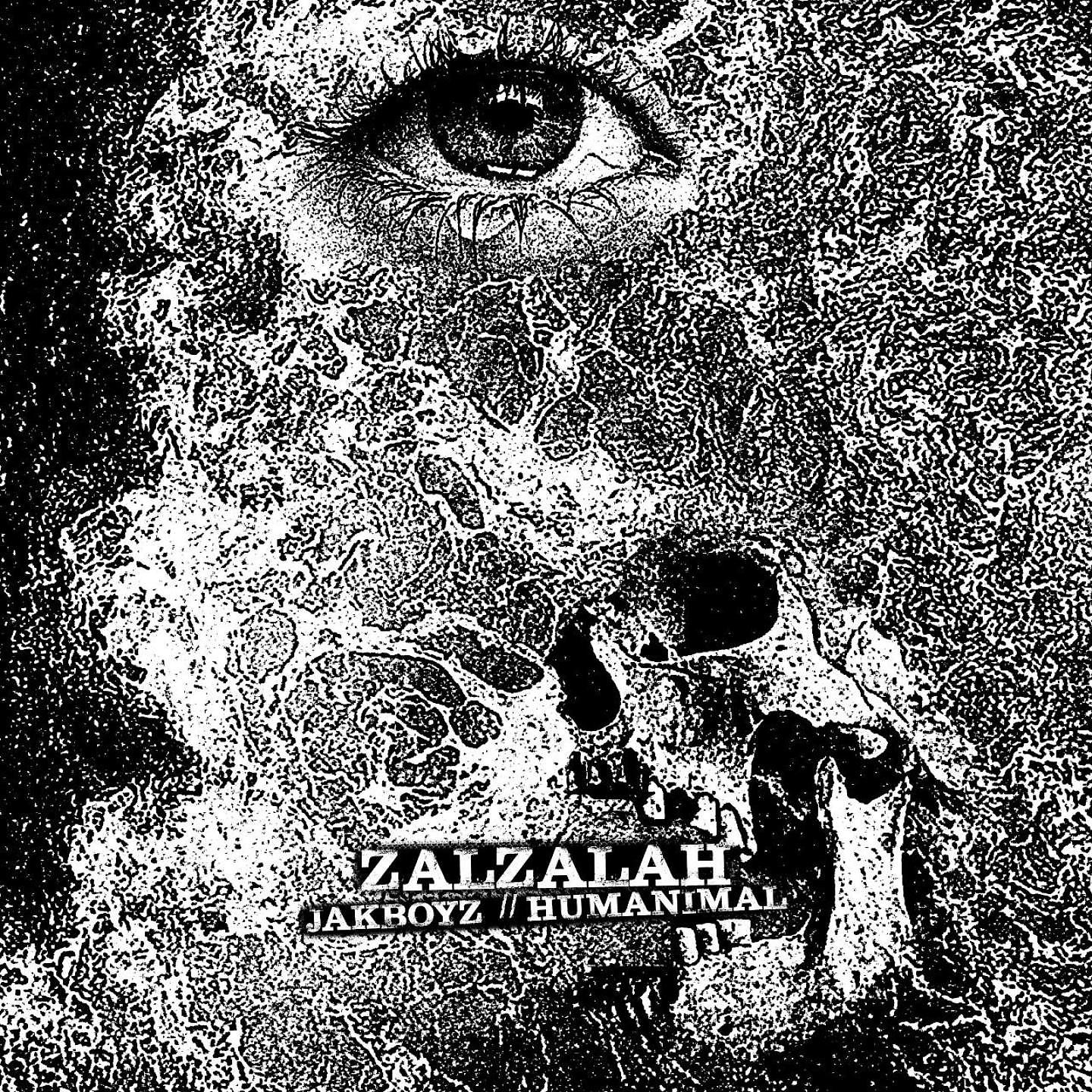 Постер альбома Zalzalah