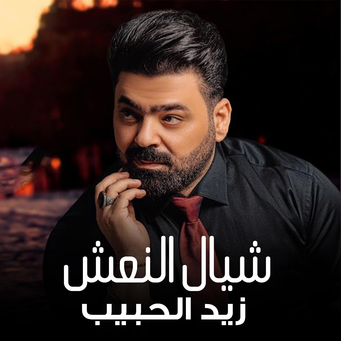 Постер альбома Shayal Al Na3sh