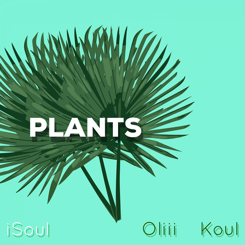 Постер альбома Plants