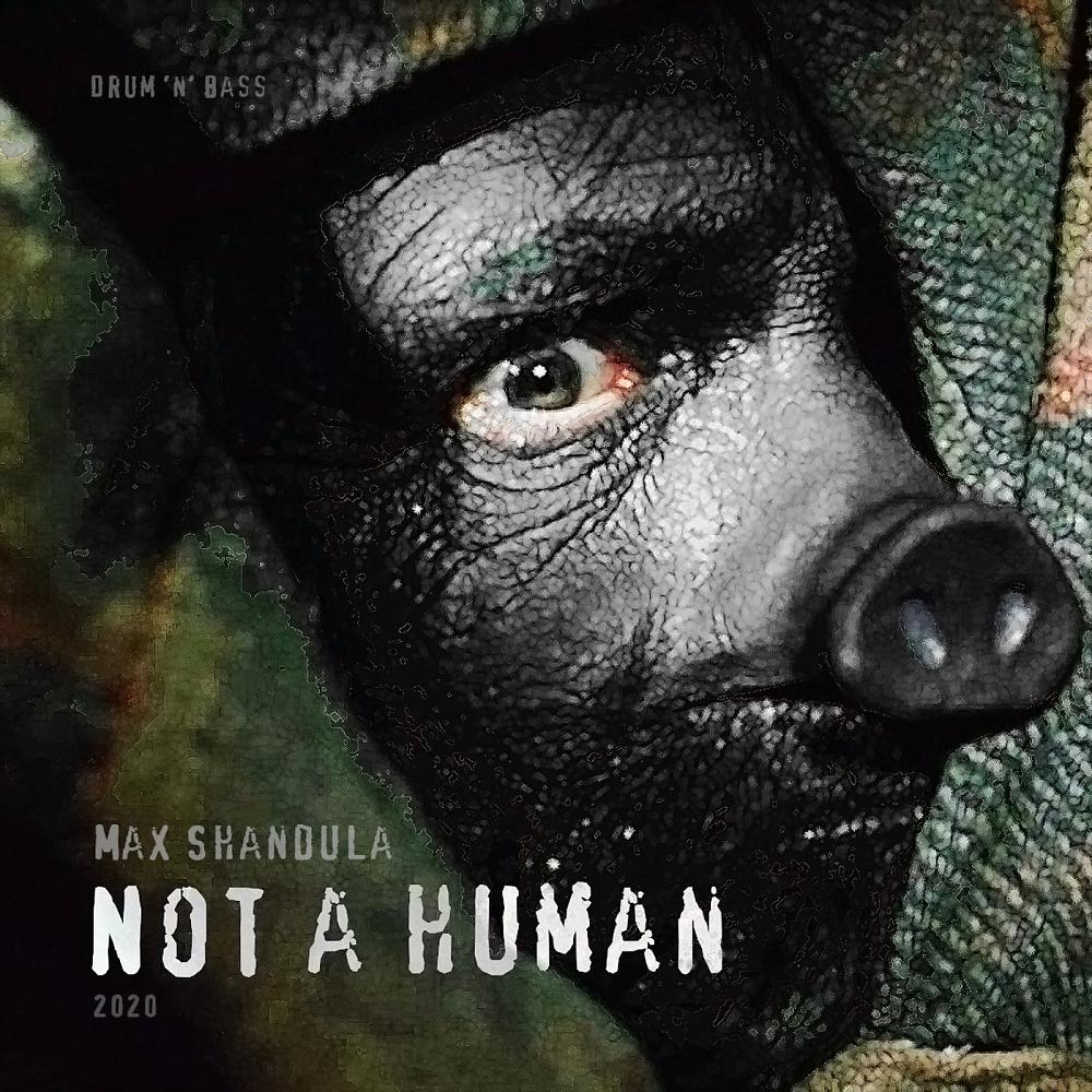 Постер альбома Not A Human
