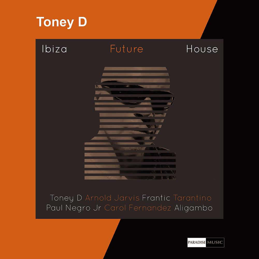 Постер альбома Ibiza Future House
