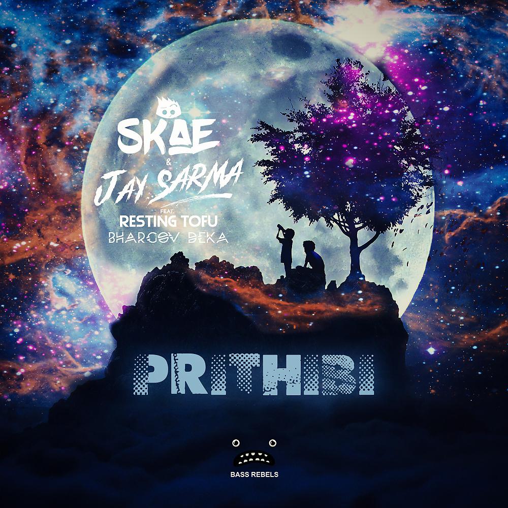 Постер альбома Prithibi