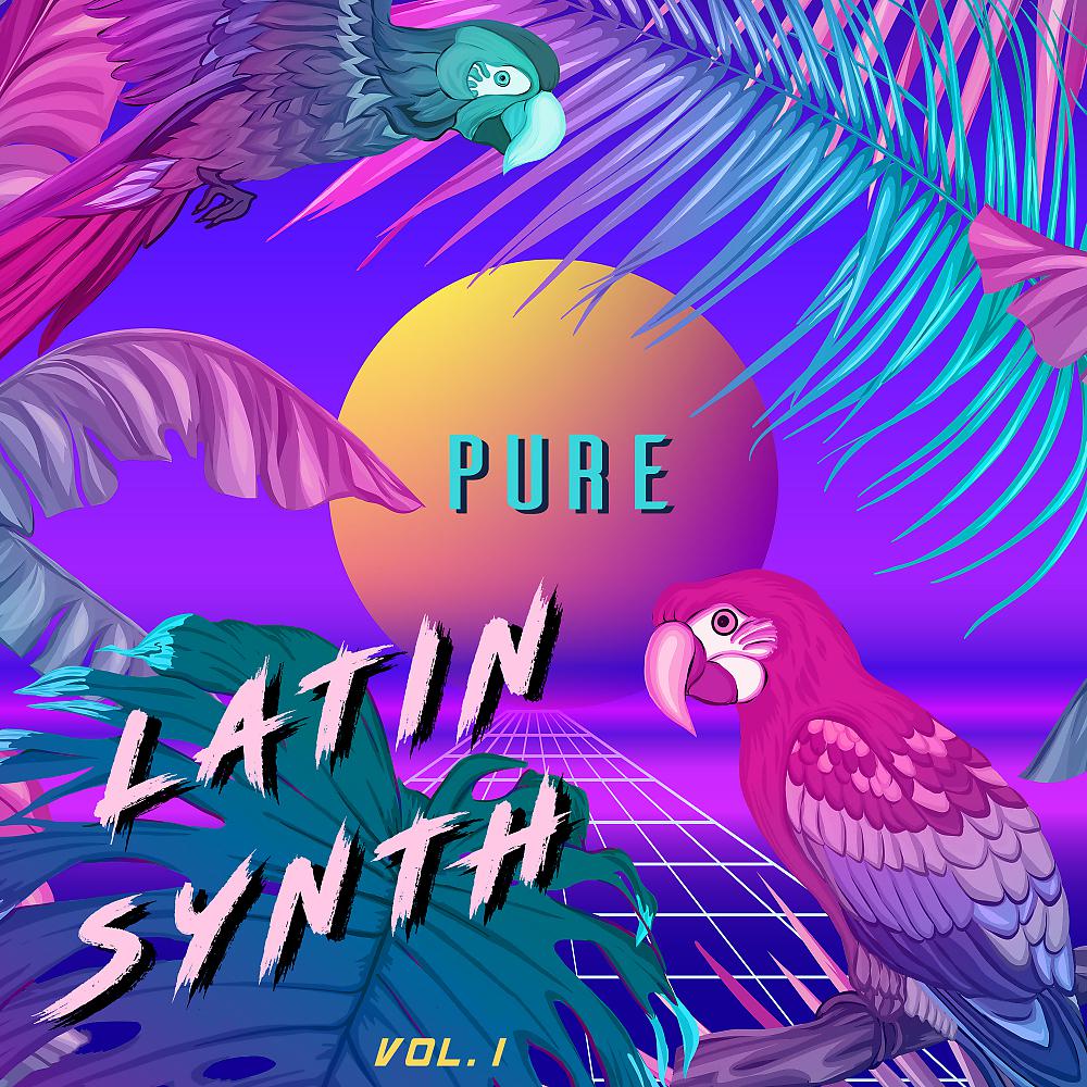 Постер альбома Pure Latin Synth, Vol. 1