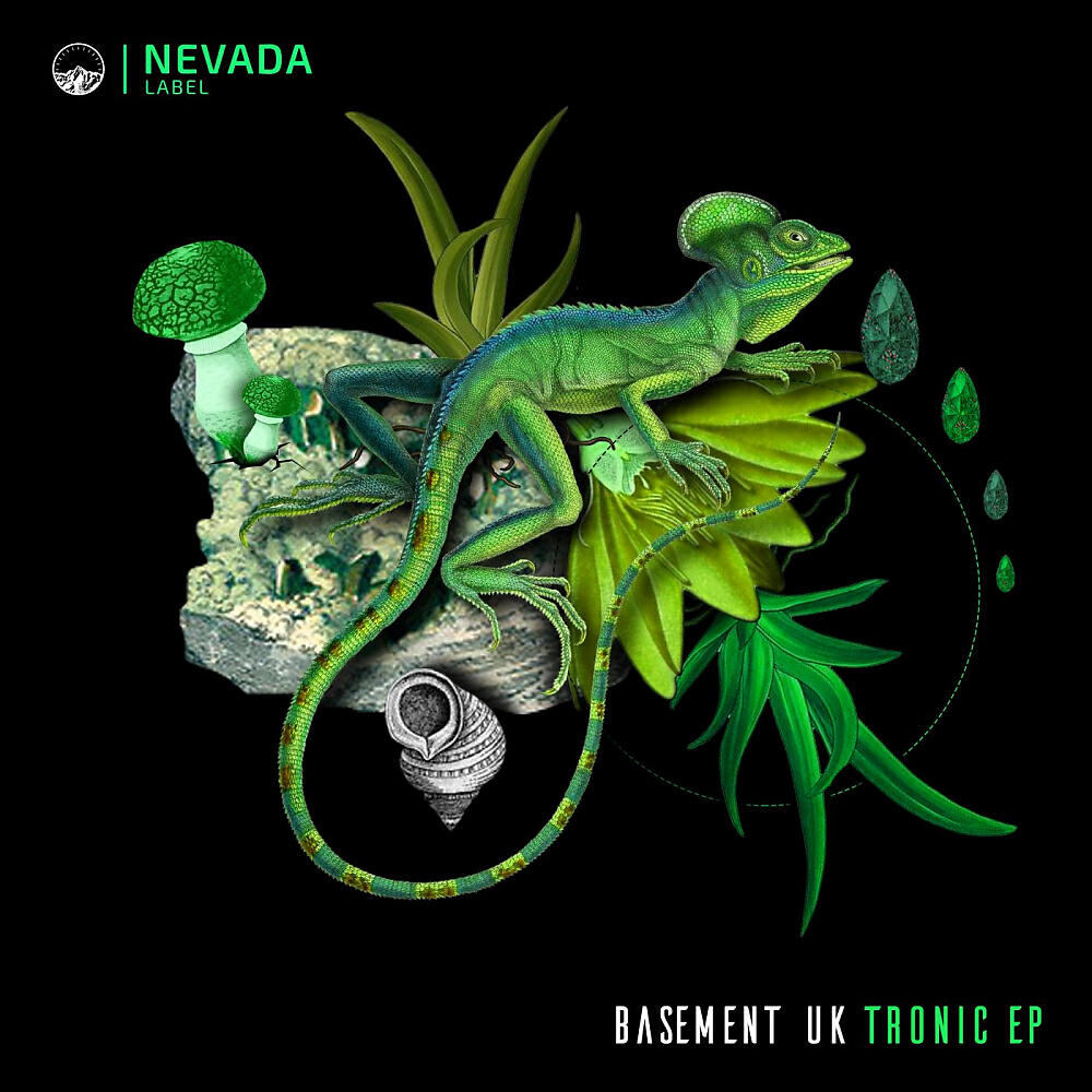 Basement UK - Jamm (Original Mix)