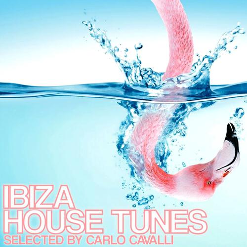 Massimo Russo - Raveline (Italianbeat guys remix)