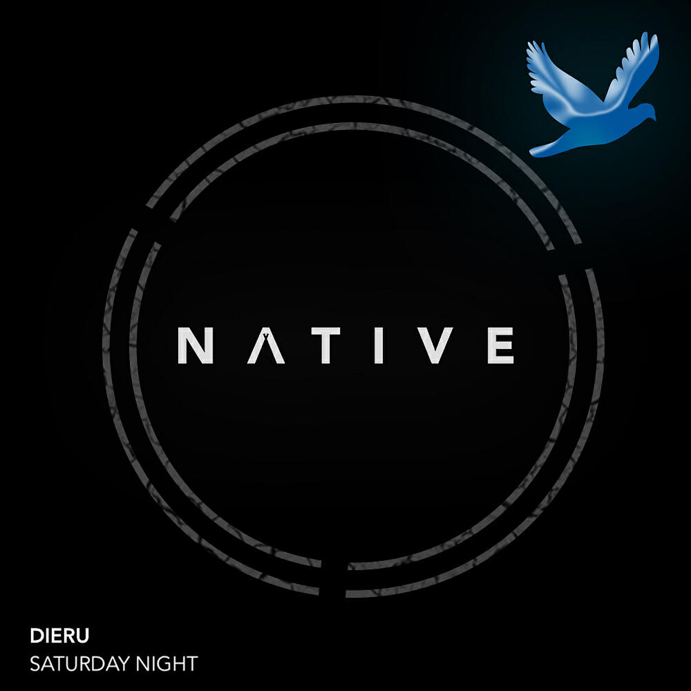 Dieru - Nilyam (Original Mix)
