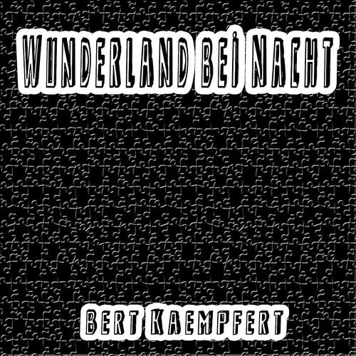 Постер альбома Wunderland bei Nacht