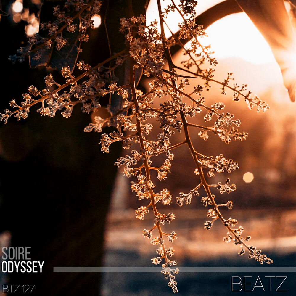 Soire - Odyssey (Original Mix)