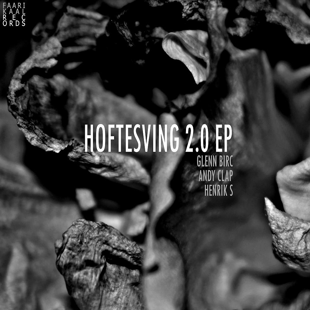 Постер альбома Hoftesving 2.0